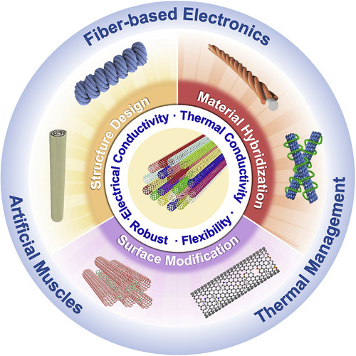 CRPS-2022-Advanced functional carbon nanotube fibers from preparation to application.jpg