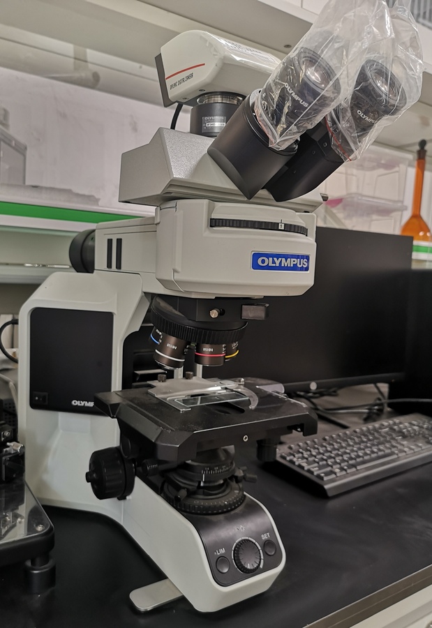 光学显微镜_2.jpg