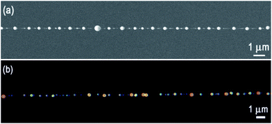 12.gif